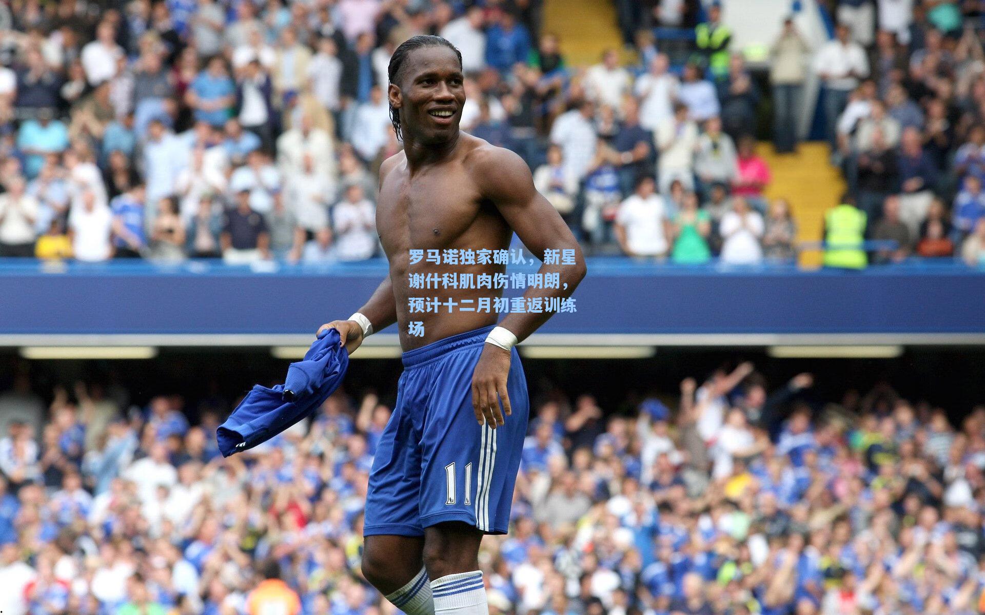 罗马诺独家确认，新星谢什科肌肉伤情明朗，预计十二月初重返训练场